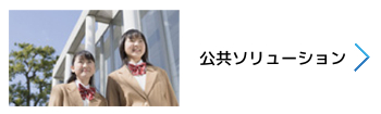 公共ソリューション